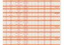 create custom excel spreadsheet with formulas, macros and charts